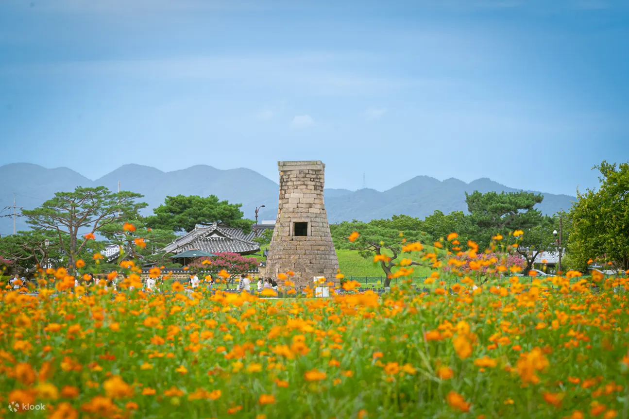 Visit Daereungwon Tomb Complex, Cheomseongdae Observatory and Bomun Tourist Complex, followed by Daegu’s Kim Gwangseok Street, Dongseong-ro and Ferris Wheel Ride.
