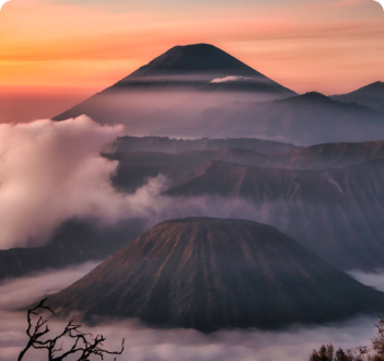 Savor the unique flavors of Mongolian cuisine, including roasted lamb, dairy products, and traditional hot pot.