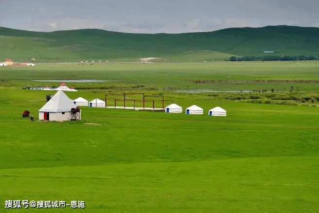 8 Wonders in One Trip: Grasslands, deserts, poplar forests, canyons, lakes, gobi, ancient ruins, Western Xia tombs