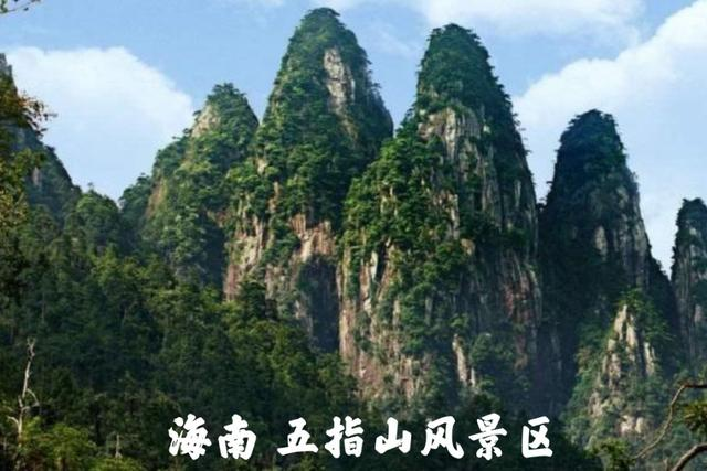 Wuzhishan Tropical Rainforest