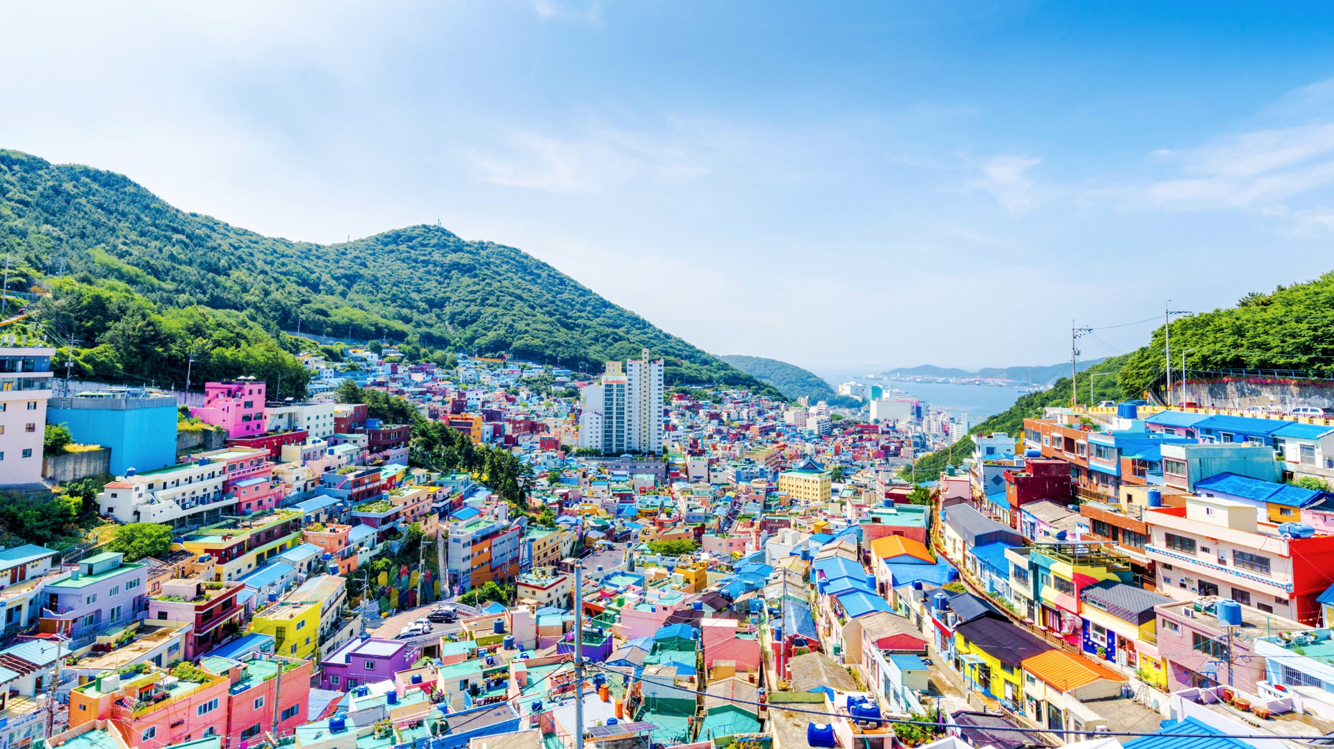 Discover Gamcheon Culture Village, Jagalchi Fish Market and Nampo-dong, together with Jinhae’s famous cherry blossom streets.