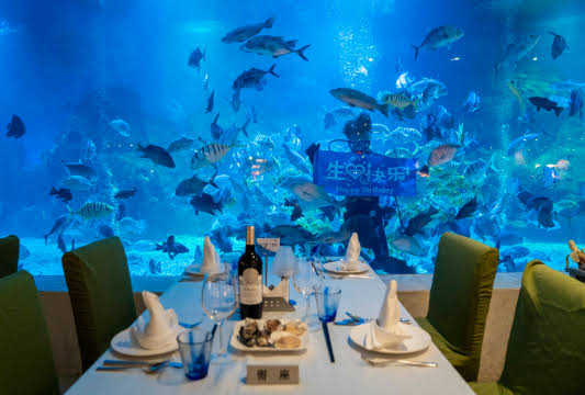 Underwater Restaurant Experience