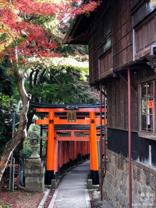 Explore the majestic Yutoku Inari Shrine and its vibrant red torii gates.