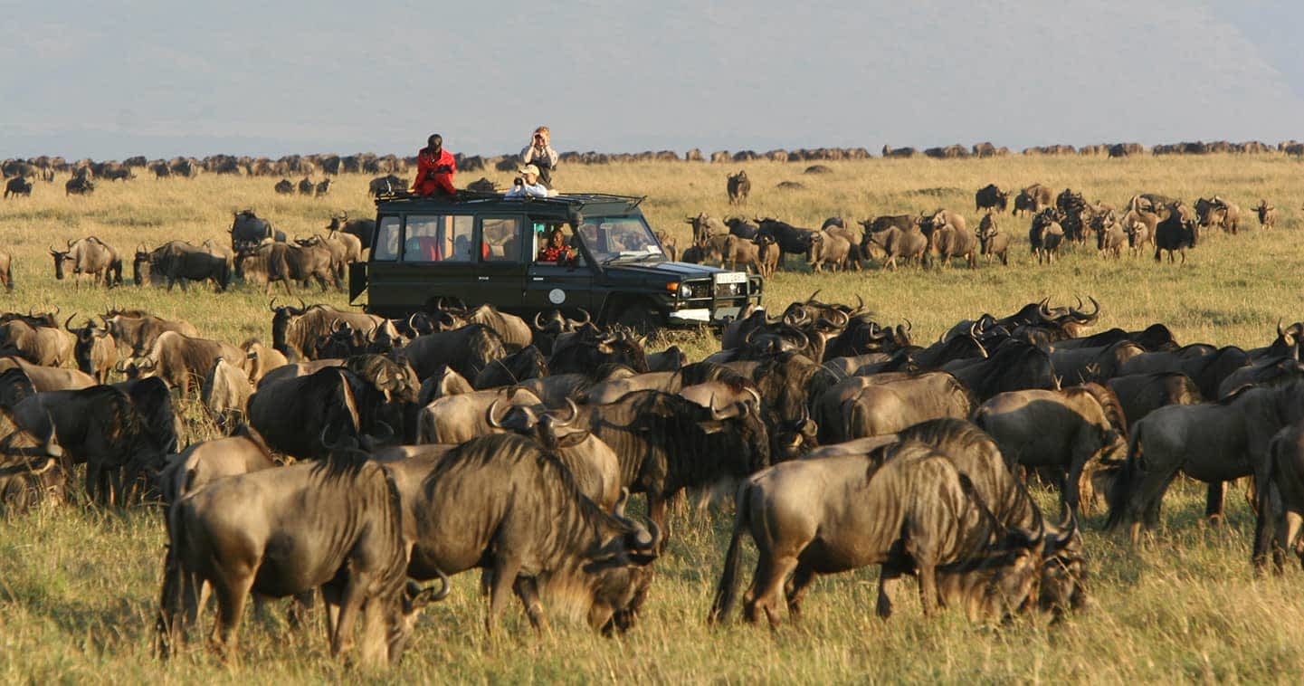 Maasai Mara National Reserve: 3 full day 