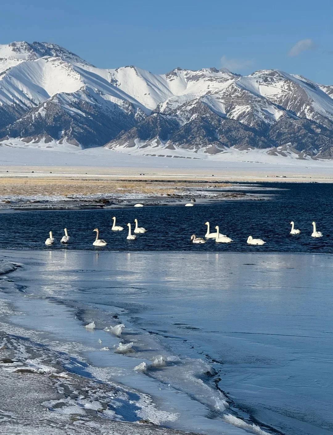 Private Sayram Lake loop, CCTV-featured Horse Bathing River, Narati sky cable car. 