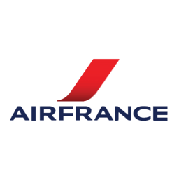 airlines logo